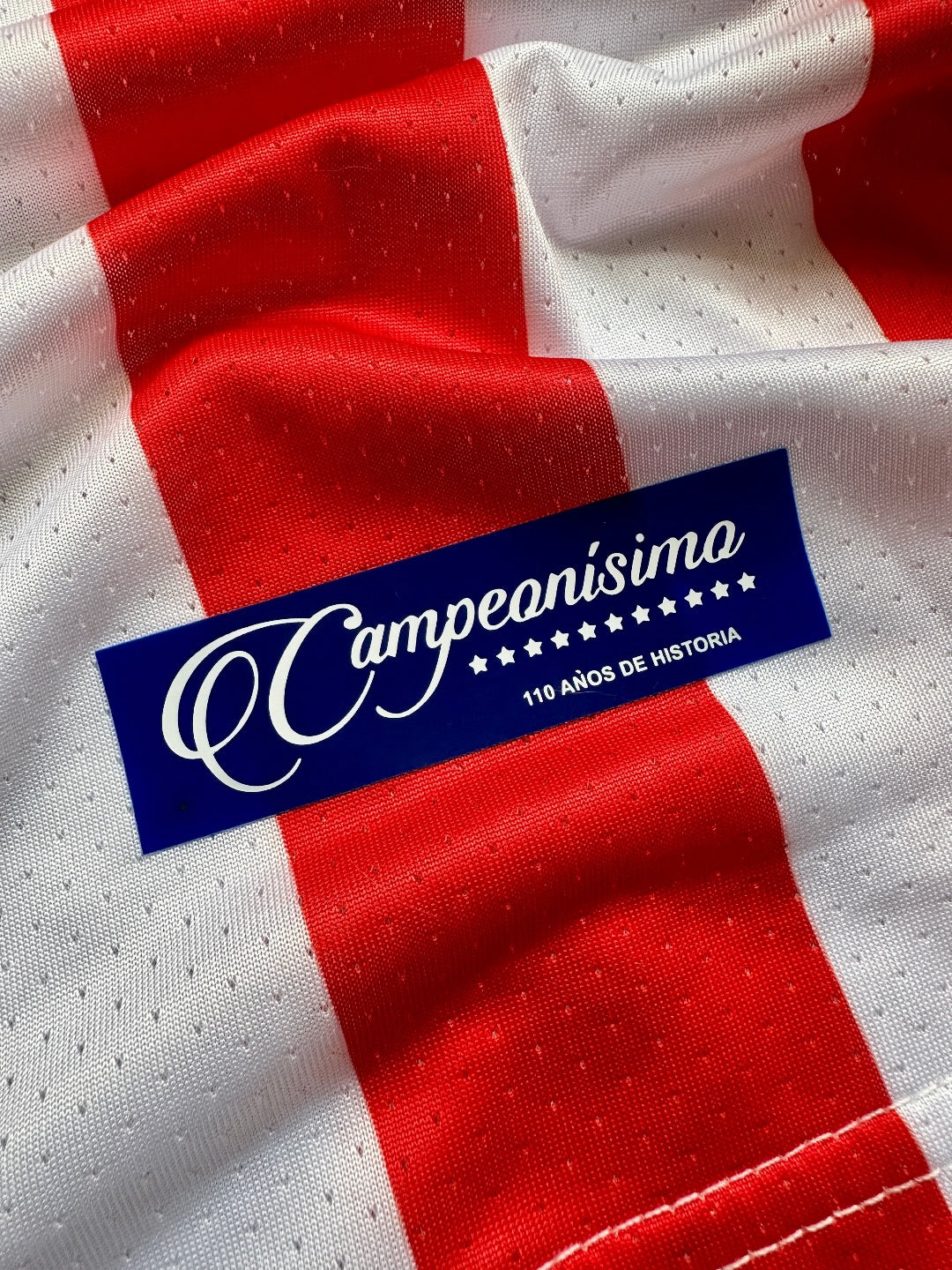 Jersey Retro Chivas Guadalajara 110 Años Local campeonísimo