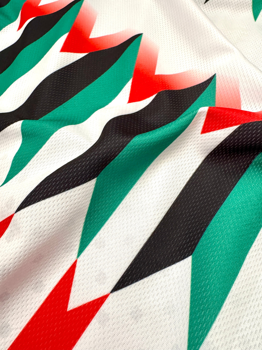 Jersey Retro FC Palestina Local