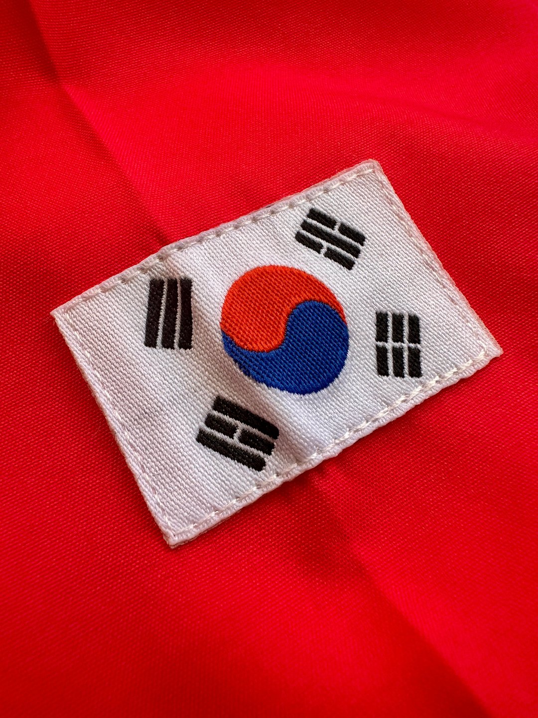 Jersey Retro Korea del Sur Local detalle cuello bandera