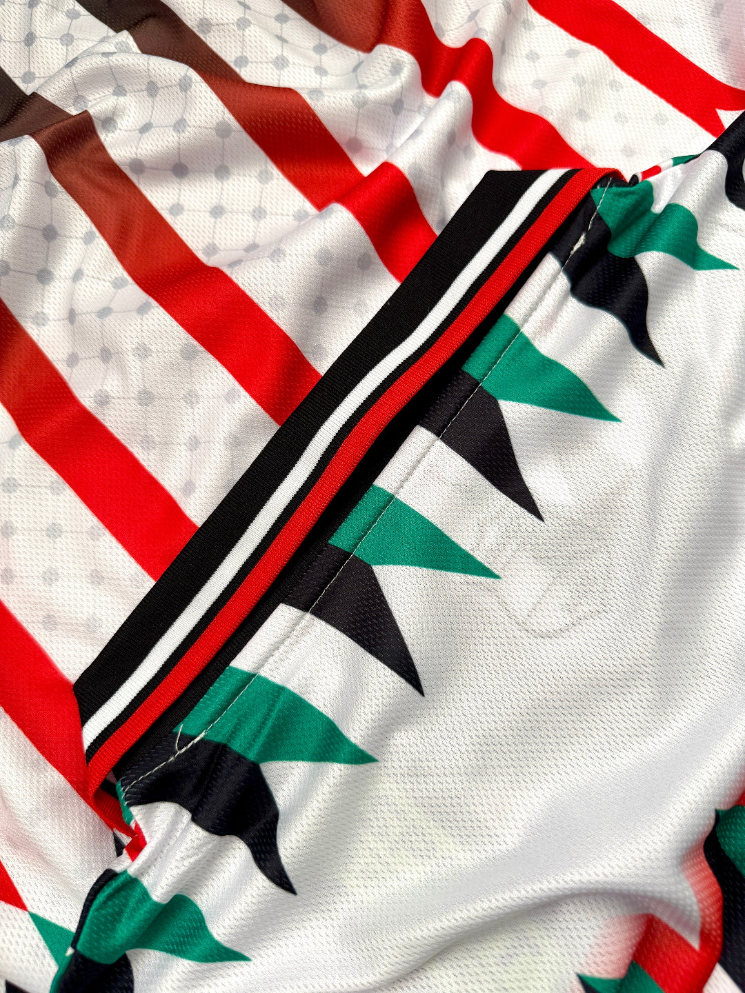 Jersey Retro FC Palestina Local